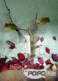 ҽ�����Ⱦ���