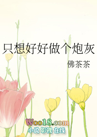 ֻ��ú������ڻң���Խ��